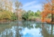 Woodlyn Drive, , Karaka,