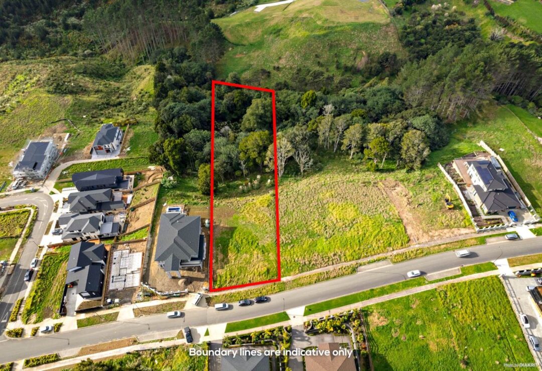 25 Michael Bosher Way, , Flat Bush,