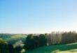 101 Trig Road, , Whitford,